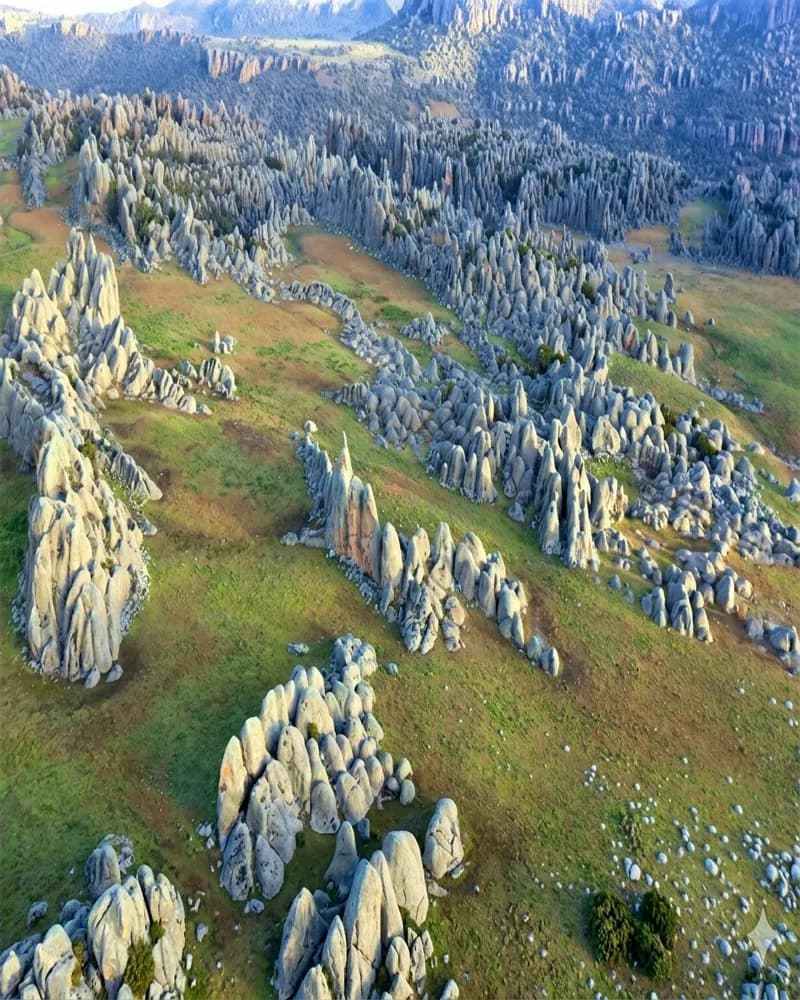 Sanetti Plateau - Heritage Site