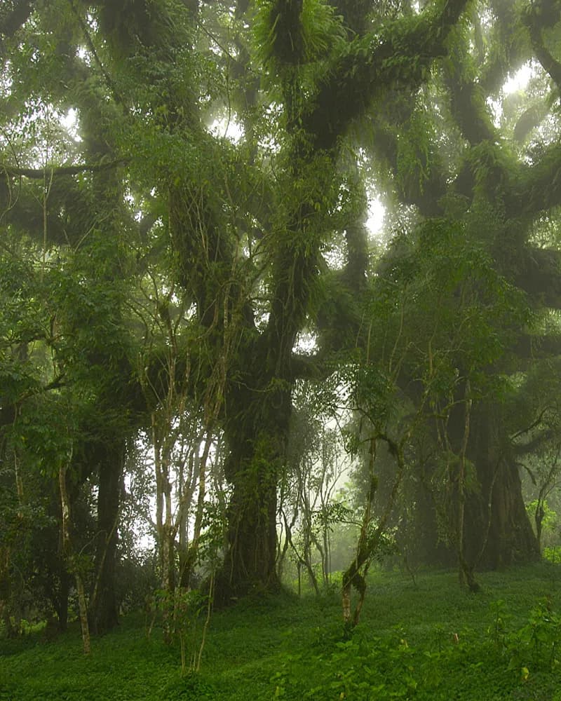 Natural Wonder - Heritage Site